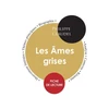 KNYGA Bookshop Fiche de lecture Les Ames grises (Etude integrale)