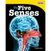 KNYGA Bookshop Five Senses