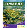KNYGA Bookshop Forest Trees