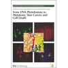 KNYGA Bookshop From DNA Photolesions to Mutations, Skin Cancer and Cell Death