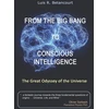 KNYGA Bookshop From the Big Bang to Conscious Intelligence
