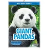 KNYGA Bookshop Giant Pandas