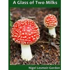 KNYGA Bookshop Glass of Two Milks