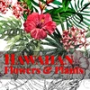 KNYGA Bookshop Hawaiian Flowers &amp; Plants