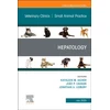 KNYGA Bookshop Hepatology, An Issue of Veterinary Clinics of North America: Small Animal Practice