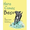 KNYGA Bookshop Here Comes Beso