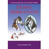 KNYGA Bookshop Horse Makeovers