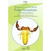 KNYGA Bookshop Illustrated Key to the British False Scorpions