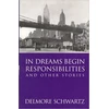 KNYGA Bookshop In Dreams Begin Responsibilities and Other Stories