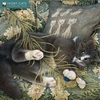 KNYGA Bookshop Ivory Cats by Lesley Anne Ivory Wall Calendar 2026 (Art Calendar)