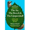 KNYGA Bookshop Jay, The Beech and the Limpetshell