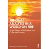 KNYGA Bookshop Jungian Analysis in a World on Fire