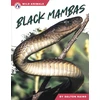 KNYGA Bookshop Juodas Mambas