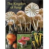 KNYGA Bookshop Kingdom of Fungi