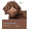 KNYGA Bookshop Labradoodle - Dog Expert