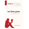 KNYGA Bookshop Les Ames grises de Philippe Claudel (Analyse de l'oeuvre)