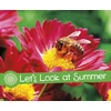 KNYGA Bookshop Let's Look at Summer