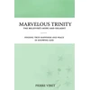 KNYGA Bookshop Marvelous Trinity, the Believer's Hope and Delight