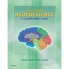 KNYGA Bookshop Mastering Neuroscience