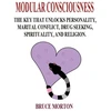 KNYGA Bookshop Modular Consciousness: The Key That Unlocks Personality, Maritial Conflict, Drug Seeking, Spirituality, and Religion