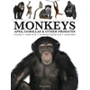 KNYGA Bookshop Monkeys