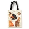 KNYGA Bookshop Moody Cats Canvas Tote