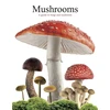 KNYGA Bookshop Mushrooms