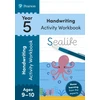KNYGA Bookshop Pearson Learn at Home Handwriting Activity Workbook Year 5