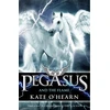 KNYGA Bookshop Pegasus and the Flame