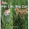KNYGA Bookshop Pet Cat, Big Cat