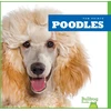 KNYGA Bookshop Poodles
