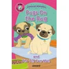KNYGA Bookshop Pugs on the Rug
