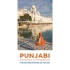 KNYGA Bookshop Punjabi-English/English-Punjabi Dictionary &amp; Phrasebook