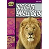 KNYGA Bookshop Rapid Reading: Big Cats Small Cats (Stage 1, Level 1A)
