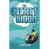 KNYGA Bookshop Secret of Gidon