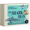 KNYGA Bookshop Shark Deck