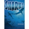 KNYGA Bookshop Sharks