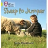 KNYGA Bookshop Sheep to Jumper