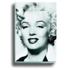 KNYGA Bookshop Sidabrinis Marilyn
