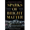 KNYGA Bookshop Sparks of Bright Matter