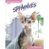 KNYGA Bookshop Sphynxes