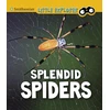KNYGA Bookshop Splendid Spiders