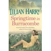 KNYGA Bookshop Springtime In Burracombe