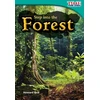 KNYGA Bookshop Step into the Forest