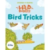 KNYGA Bookshop Stories for Maths: EYFS: Bird Tricks (Match, sort, and compare)