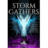 KNYGA Bookshop Storm Gathers