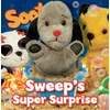 KNYGA Bookshop Sweep's Super Surprise