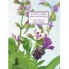KNYGA Bookshop Tin Box of 20 Gift Cards and Envelopes : Simply Herbs
