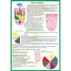 KNYGA Bookshop Tongue Diagnosis -- A4