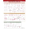 KNYGA Bookshop Travell, Simons &amp; Simons’ Trigger Point Pain Patterns Wall Chart